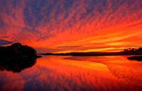 CT OLD LYME BHRPANO21-11-041D